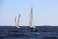 7. Крейсера на попутняке