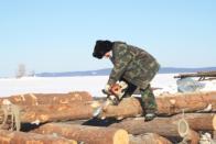 Если надо, сам пилу возьму