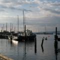 IMG_9423.JPG